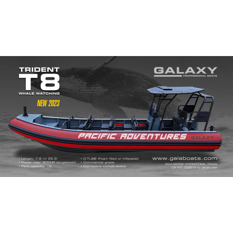Galaxy Trident T8